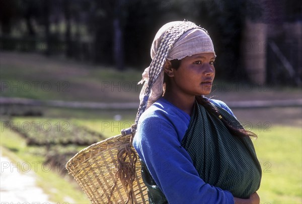 A Labourer at Lady Hydari Park in Shillong