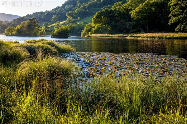 View of the lake in the evening sun