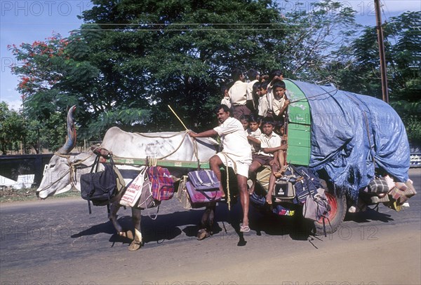 Children going to school in a bullock cart at Coimbatore