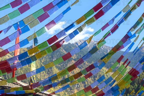 Prayer flags in the Tibetan village of Shuzheng