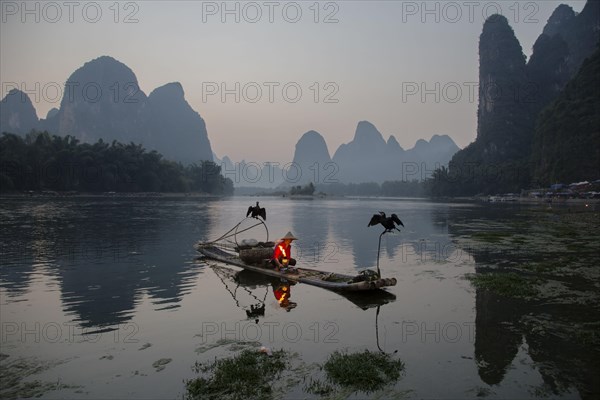 Traditional fisherman with trained cormorants