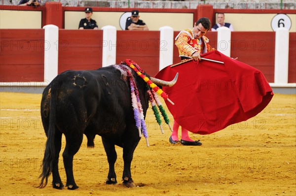 Bullfight