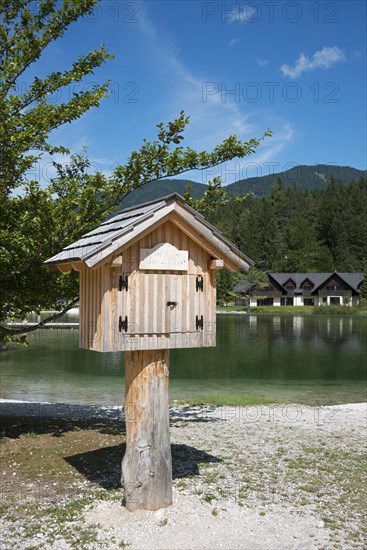 Library on the lake