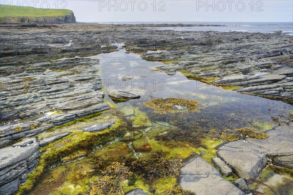 Rockpool on rocky coast at low tide