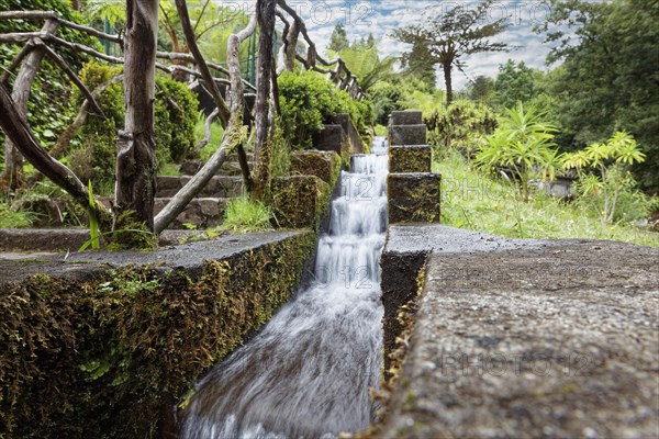 Levada