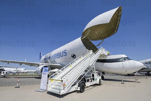 Airbus Beluga XL Transporter