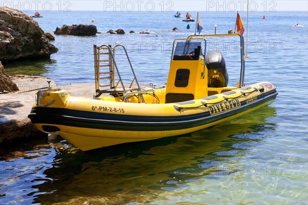 Rigid inflatable boat