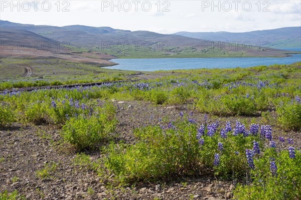 Lake Isholsvatn