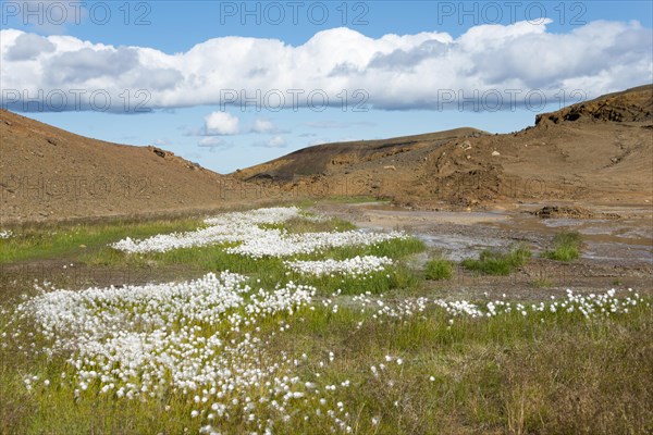 Landscape at Stora Viti