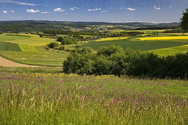 Cultural landscape in the Rhine-Lahn district