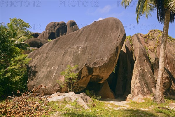 Palm trees and granite rocks on the dream beach Source d'Argent