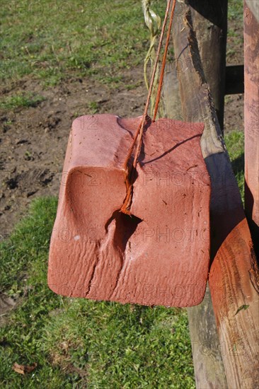 Horse mineral block hanging from fence in paddock