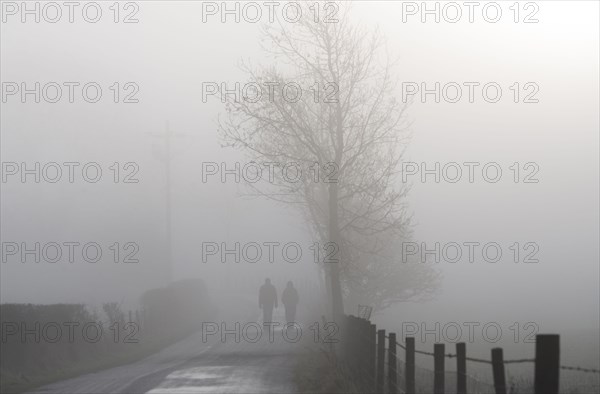 Two walkers walking on the road in fog