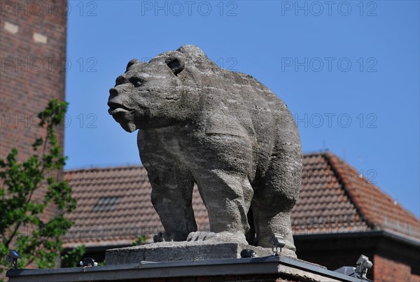 Berliner Baer