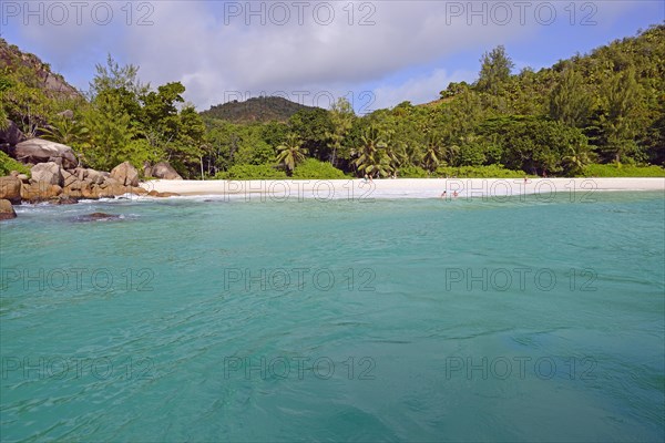 Dream beach Anse Gorgette