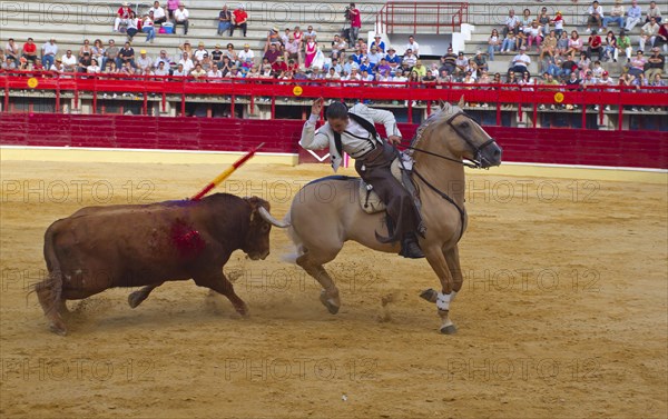 Bullfighting