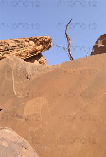 Rock art of the San Bushmen