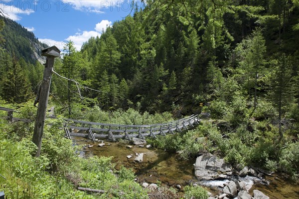 Wooden bridge