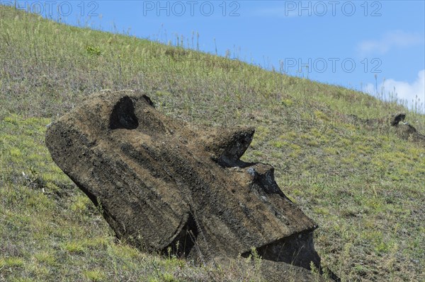 Moai in Rano Raraku