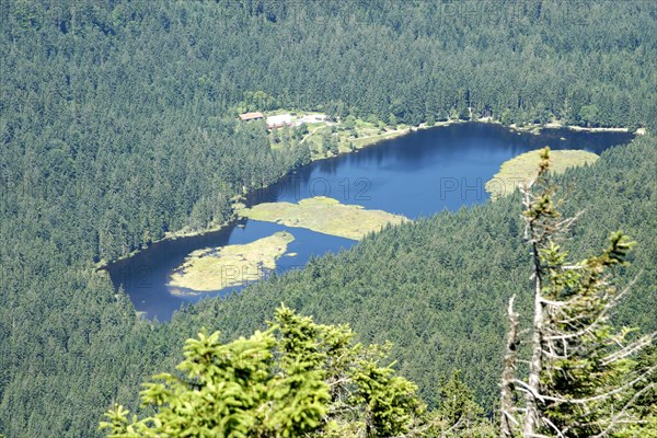 Kleiner Arbersee