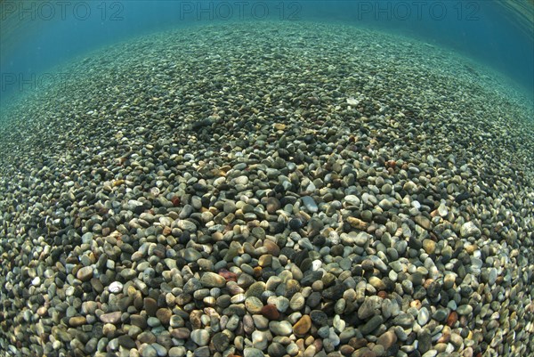 View of multicoloured pebbles near shallow shore