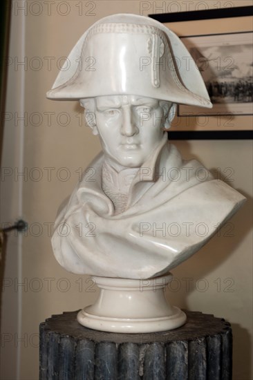 Marble bust of Emperor Napoleon