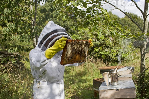 Bee keeping