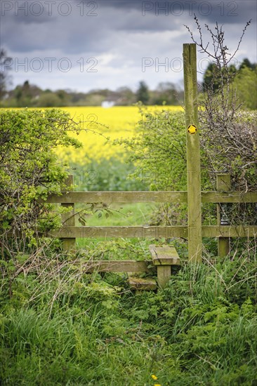 Footpath sign and stile