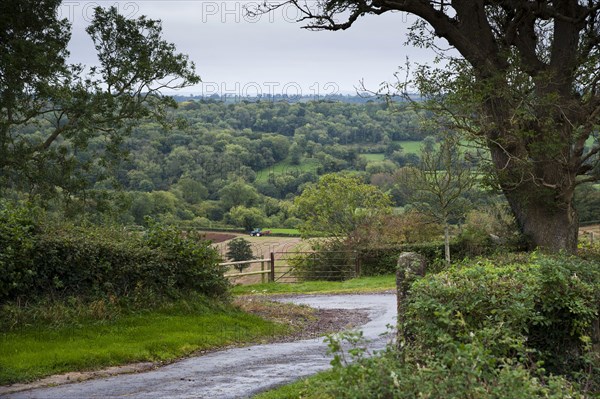 View of country lane