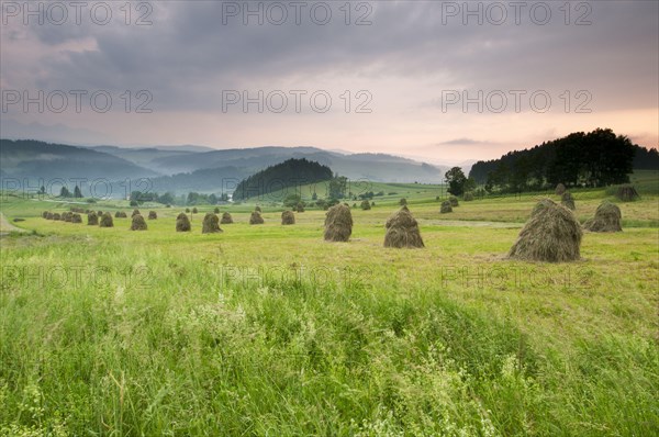 Hay ricks in montane meadow at sunset