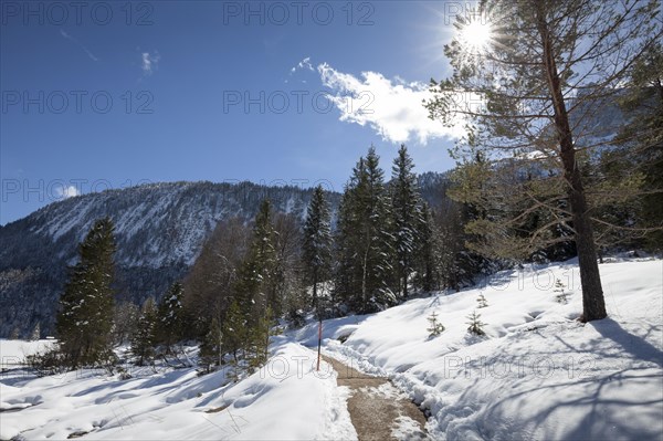 Winter landscape