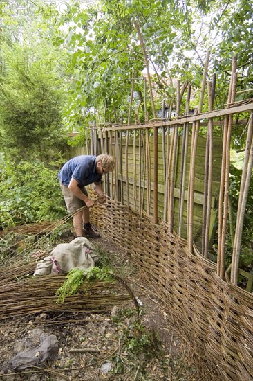 Building a willow garden fence