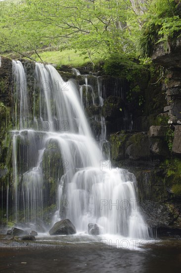 Waterfall by the Stream