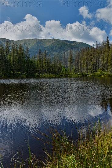 Mountain Lake Smreczynski Staw