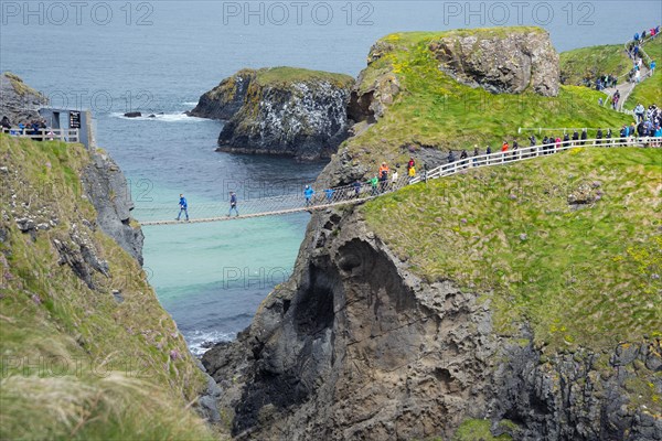 Suspension Bridge