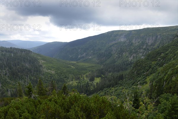 Upper Elbe Valley