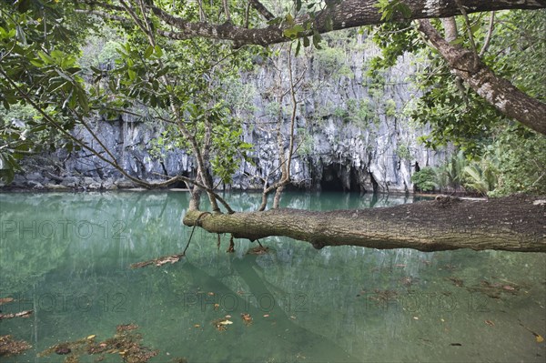 Cave entrance to the subterranean river