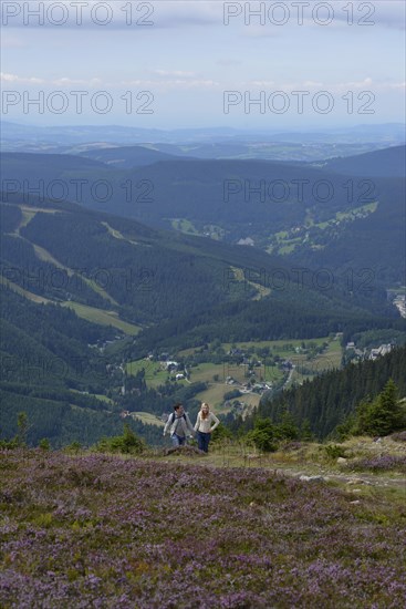 Hiking trail to Mount Krakonos