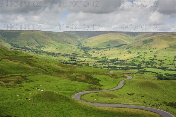 View of winding road through pasture with cattle