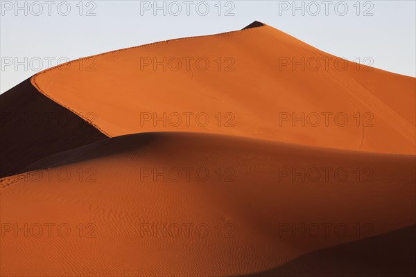 View of desert sand dunes in the evening sun