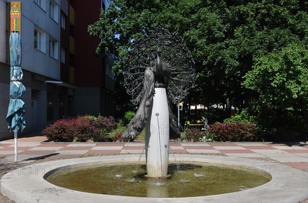 Peacock Fountain