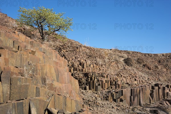 Organ pipes