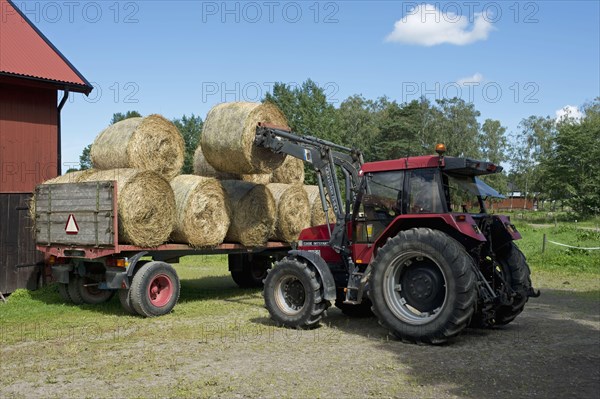 Loading round bale of hay into hayloft with front loader bale spike on Case tractor