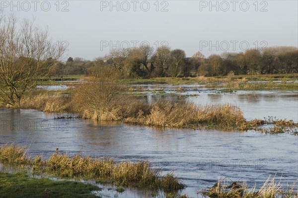 View of flooded meadows