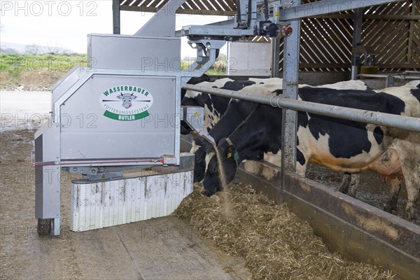 Wasserbauer Butler feeders and scrapers on dairy farm