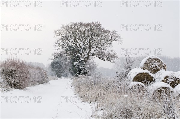 View of snow-covered roadway and round bales of straw