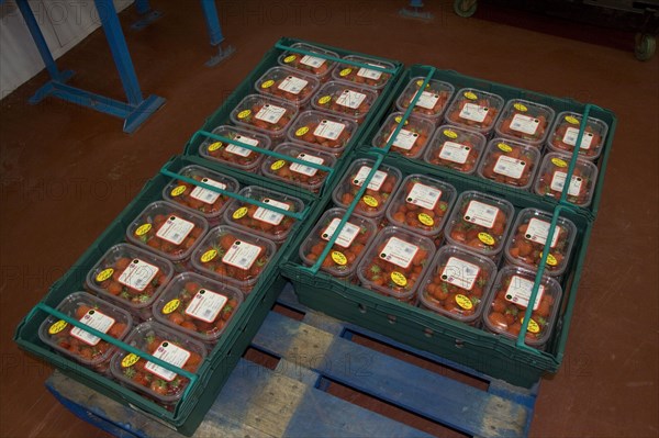 Fruit bowls with strawberries in boxes