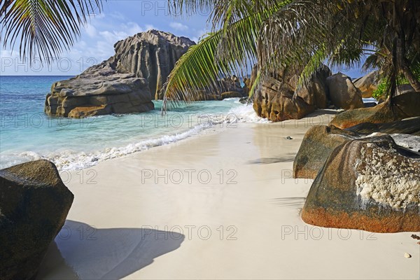 Dream beach Anse Patatas