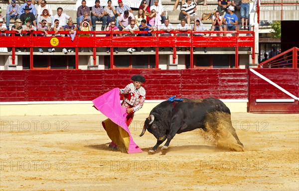 Bullfighting