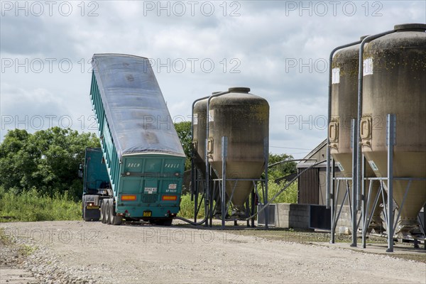 Pig farming